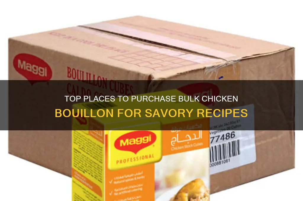 where to buy bulk chicken boullion