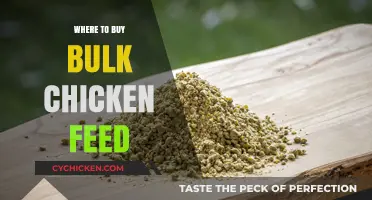 Top Sources for Affordable Bulk Chicken Feed: A Comprehensive Guide