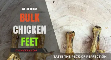 Top Sources for Buying Bulk Chicken Feet at Affordable Prices
