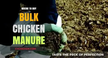 Best Sources for Buying Bulk Chicken Manure: A Comprehensive Guide