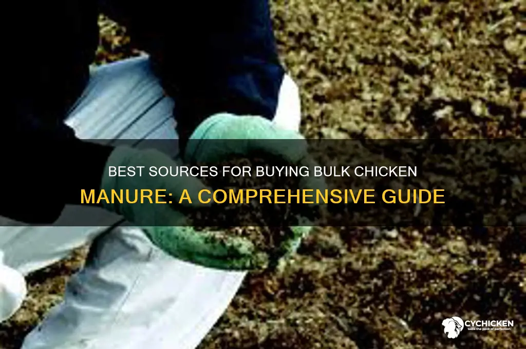 where to buy bulk chicken manure