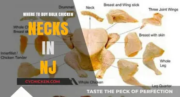 Best Places to Buy Bulk Chicken Necks in New Jersey