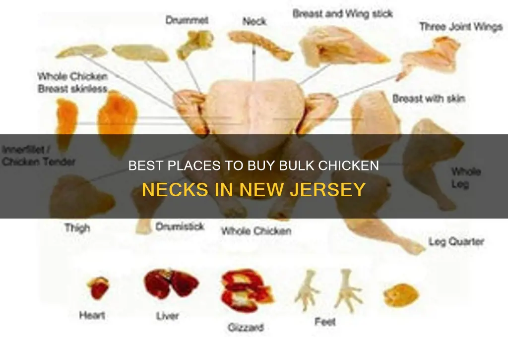 where to buy bulk chicken necks in nj