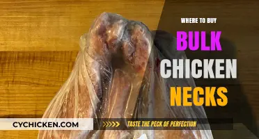 Best Places to Buy Bulk Chicken Necks for Cooking and Pets