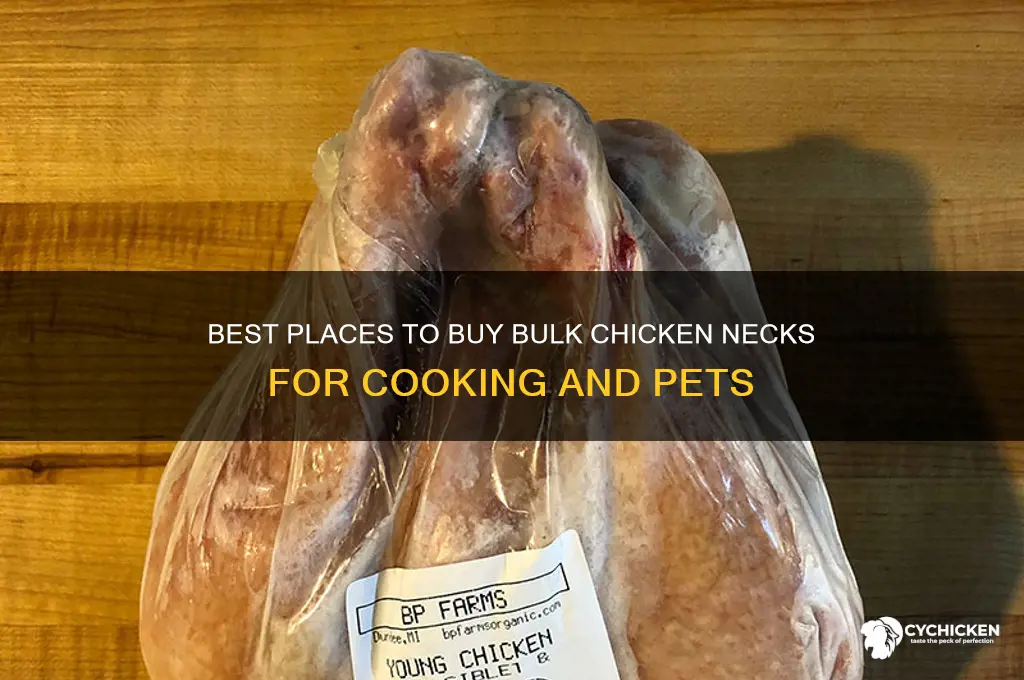where to buy bulk chicken necks