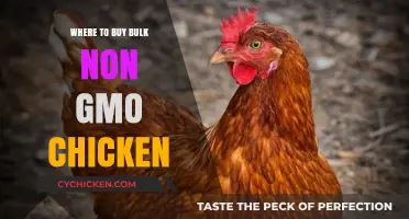 Best Sources for Bulk Non-GMO Chicken: Where to Buy Guide