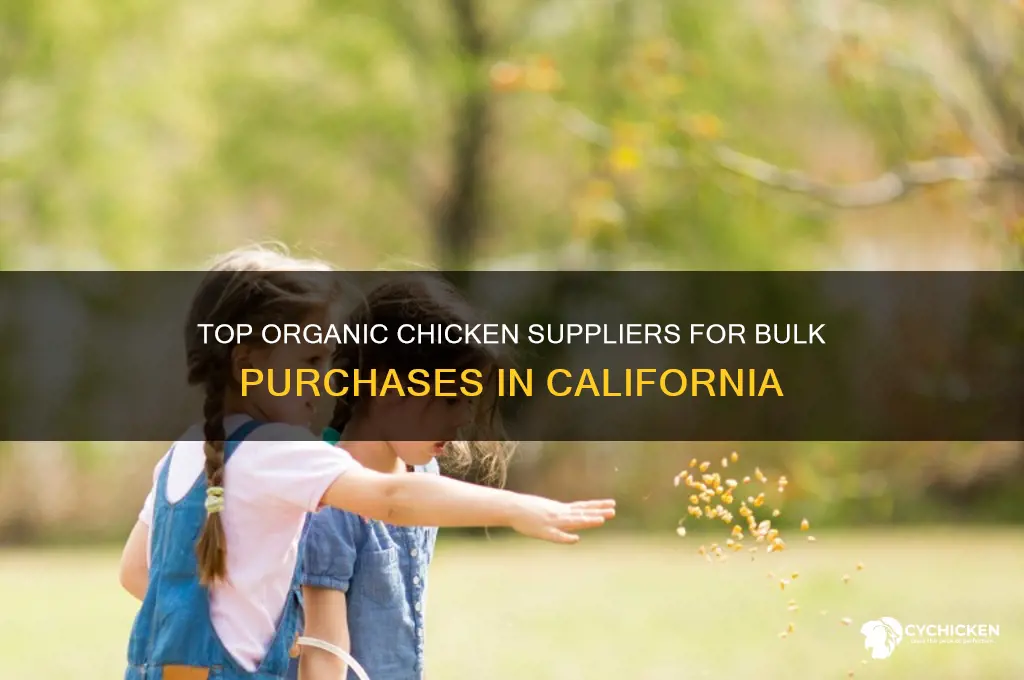 where to buy bulk organic chicken california