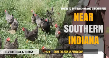Best Sources for Bulk Organic Chicken Feed Near Southern Indiana
