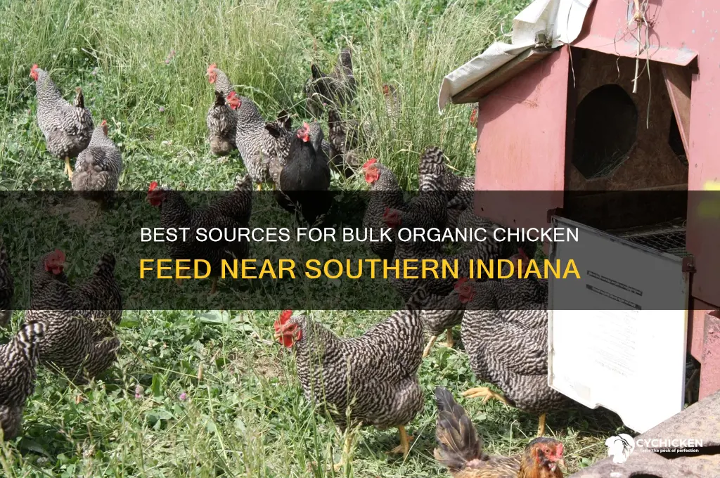 where to buy bulk organic chicken feed near southern indiana