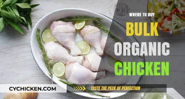 Top Sources for Buying Bulk Organic Chicken at Affordable Prices