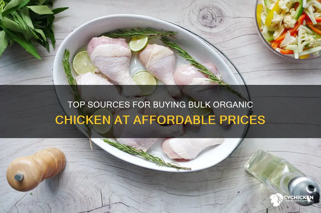 where to buy bulk organic chicken