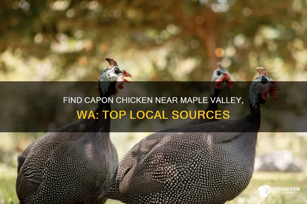 where to buy capon chicken near maple valley wa