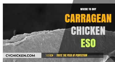 Best Places to Buy Carragean Chicken in ESO: A Guide