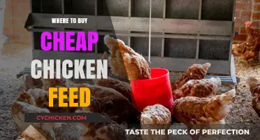Affordable Chicken Feed: Top Sources for Budget-Friendly Poultry Nutrition