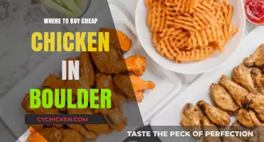 Budget-Friendly Chicken Shopping Guide: Boulder's Best Affordable Options