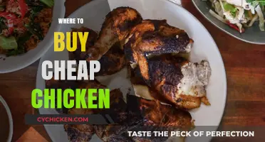 Budget-Friendly Chicken: Top Spots to Buy Affordable Poultry