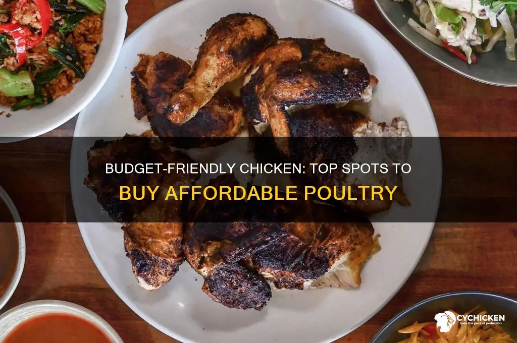 where to buy cheap chicken