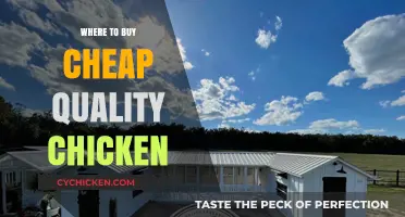 Affordable Quality Chicken: Top Places to Buy Without Compromising Taste