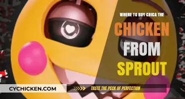 Where to Buy Chica the Chicken: A Sprout Fan's Guide