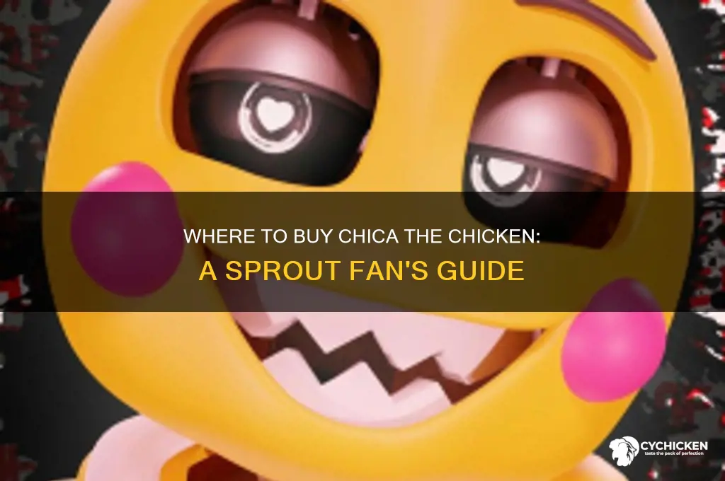 where to buy chica the chicken from sprout