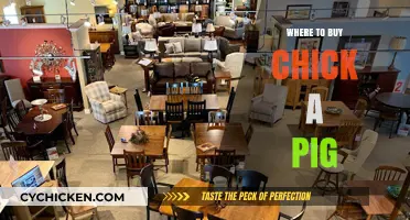 Where to Buy Chick-A-Pig: Top Retailers and Online Options
