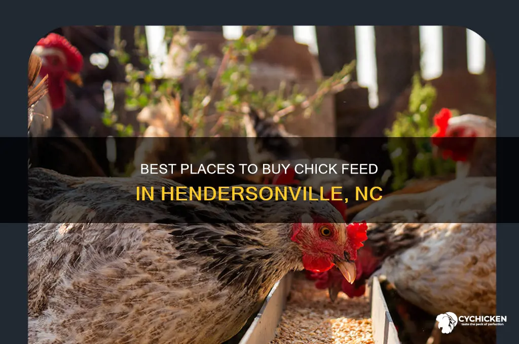 where to buy chick feed in hendersonville nc