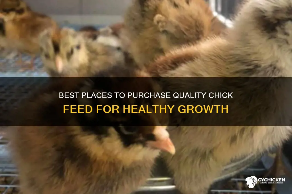 where to buy chick feed
