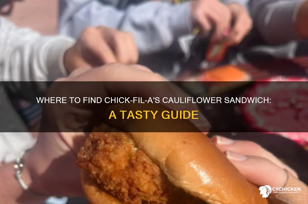 where to buy chick fil a cauliflower sandwich