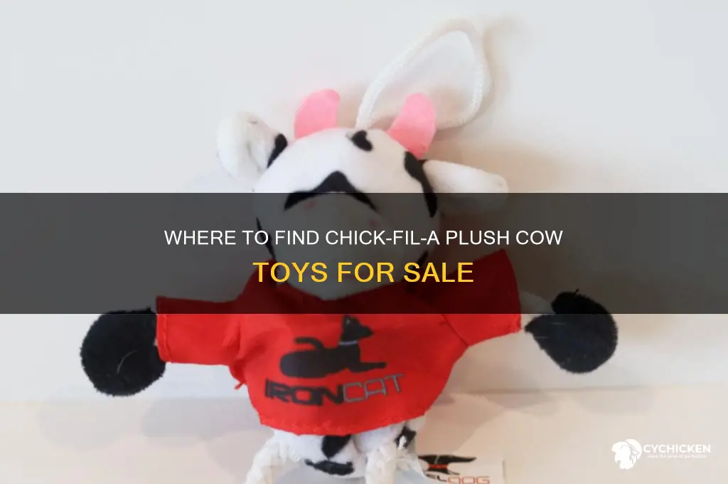 where to buy chick fil a plush cow