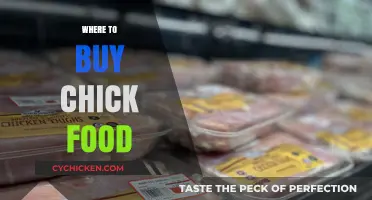 Best Places to Buy Chick Food: A Comprehensive Guide