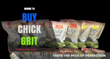 Best Places to Buy Chick Grit for Healthy Chickens