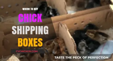 Best Places to Purchase Chick Shipping Boxes for Safe Transport
