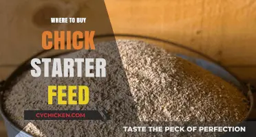 Best Places to Buy Chick Starter Feed for Healthy Growth