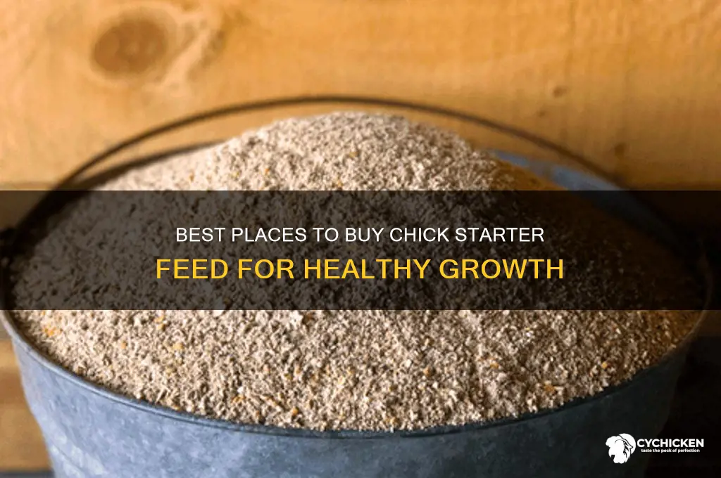 where to buy chick starter feed