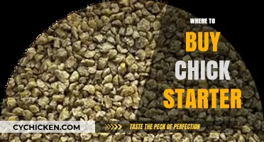 Best Places to Buy Chick Starter: A Comprehensive Guide