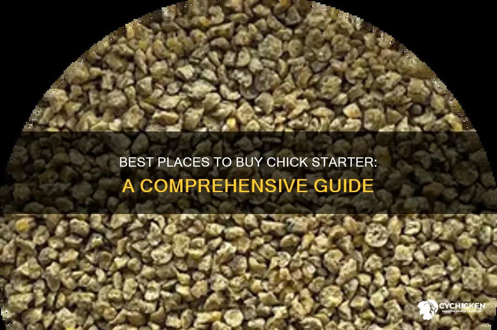 where to buy chick starter