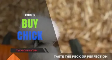 Best Places to Buy Healthy Chicks for Your Flock