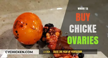Where to Buy Chicken Ovaries: Top Sources and Tips
