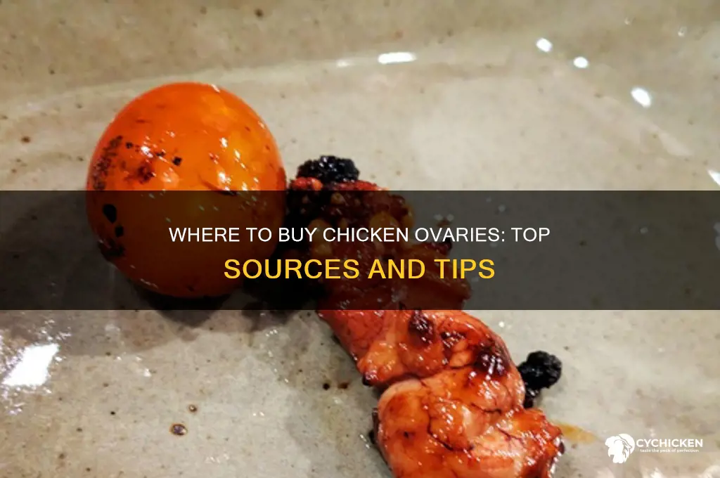 where to buy chicke ovaries