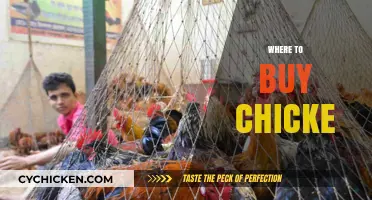 Best Places to Buy Fresh, Quality Chicken Near You