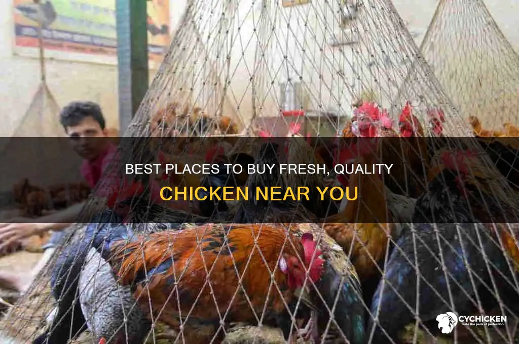where to buy chicke
