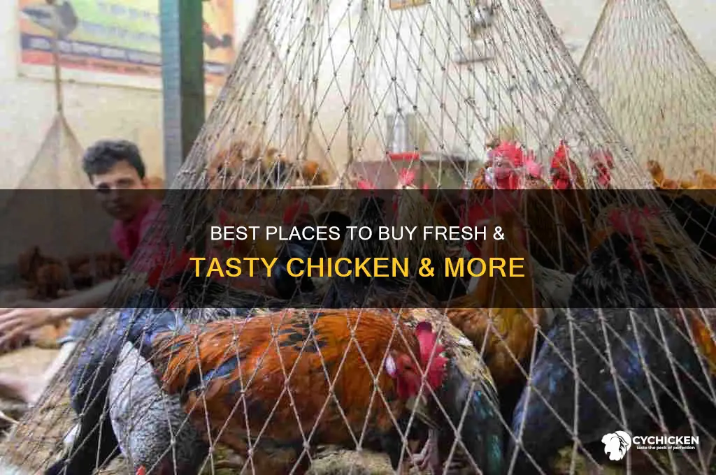 where to buy chicken &amp