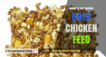 Best Places to Purchase 50-Pound Chicken Feed for Your Flock