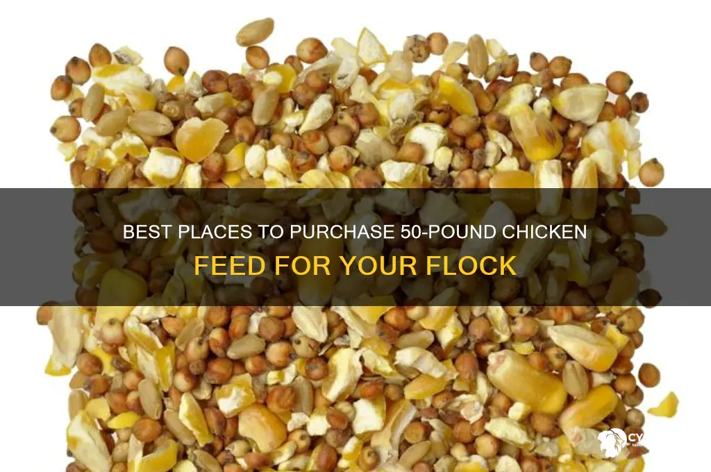 where to buy chicken 50lb chicken feed