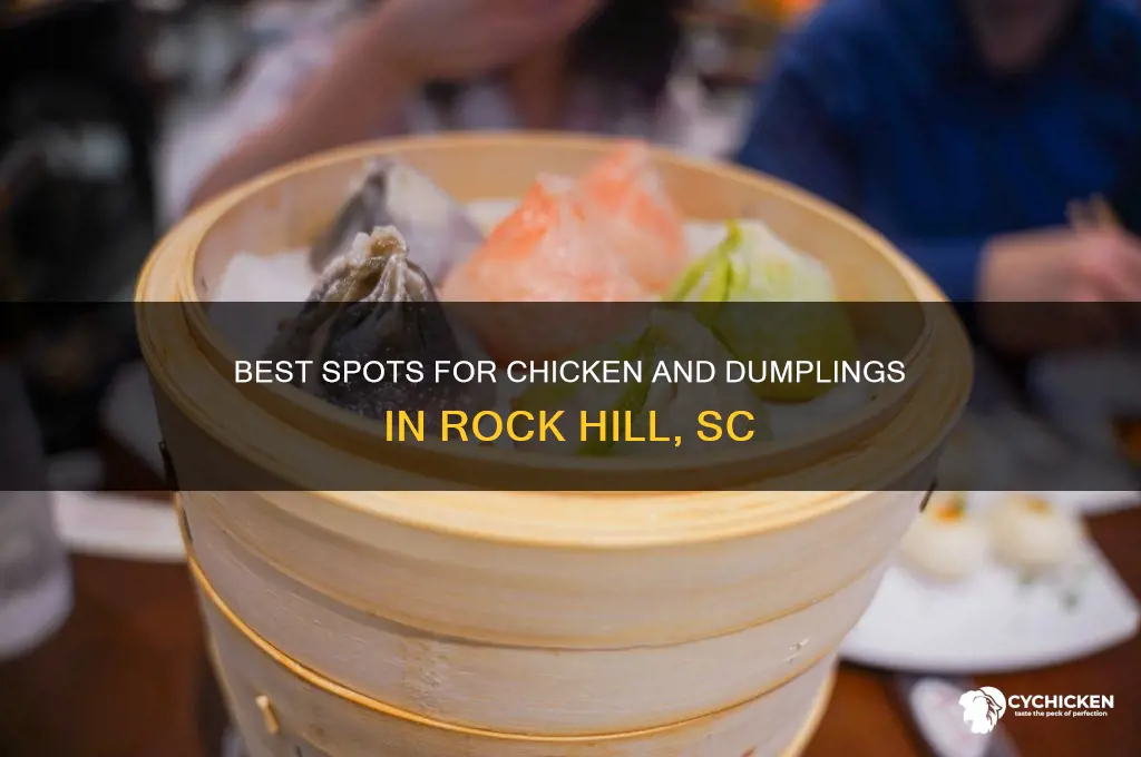 where to buy chicken and dumplings in rock hill sc