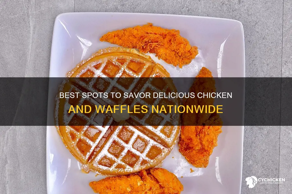 where to buy chicken and waffles