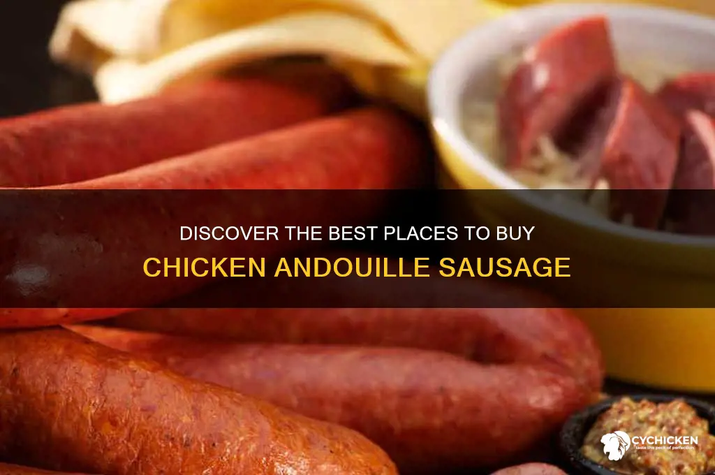 where to buy chicken andouille sausage