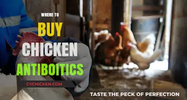 Where to Buy Chicken Antibiotics: A Comprehensive Guide for Farmers