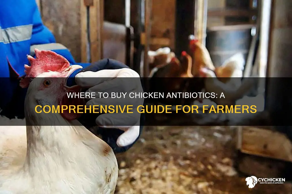 where to buy chicken antiboitics
