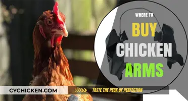 Where to Buy Chicken Arms: Top Retailers and Online Stores